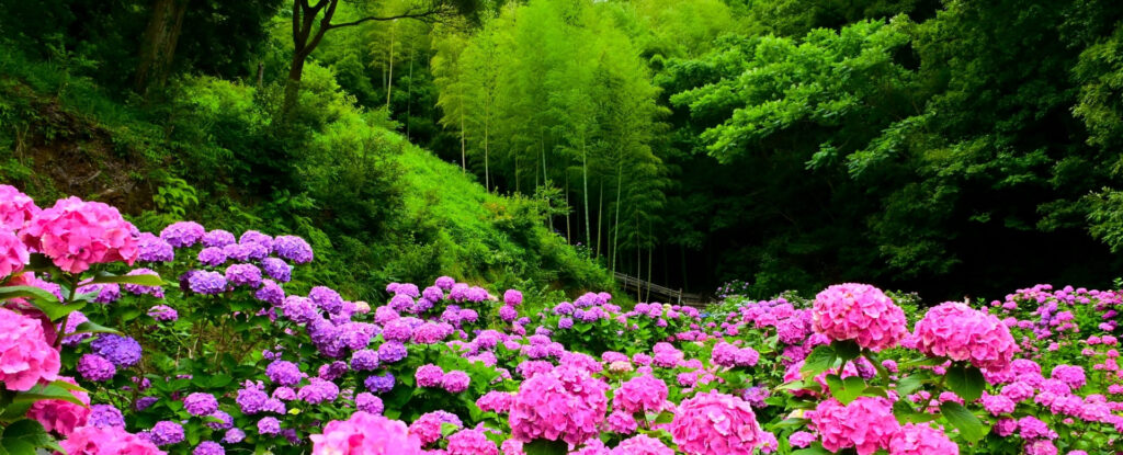 パワースポットメイカー